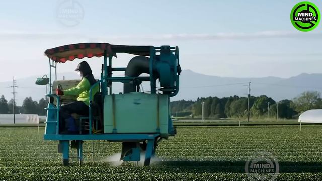 The Most Modern Agriculture Machines That Are At Another Level,How To Harvest Mangoes In Farm ▶4