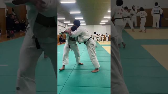 Judo training