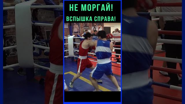 Два Монстра в ринге! Боксеры лупят , искры летят из глаз!Нокдауны. Последние 10 СЕКУНД из ряда вон