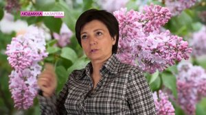Как сделать жизнь интереснее в 4 шага