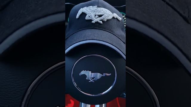 Ручная вышивка канителью Кепка Mustang