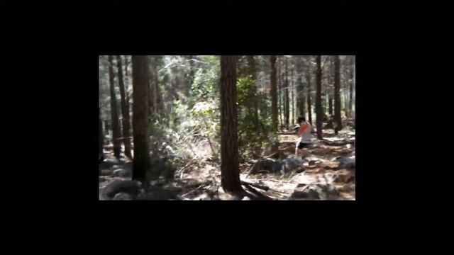 Wilgenhof смотреть онлайн