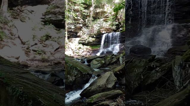 Rickett's Glen Falls Trail, Benton, PA 9/10/22