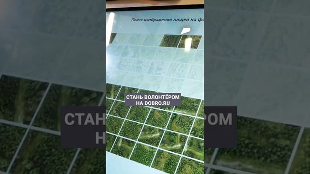 ♀️Кто такие волонтёры отряда «ЛизаАлерт» и как стать одним из них? #нацпроекты