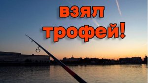 ЛОВЛЯ КРУПНОГО СУДАКА И ОКУНЯ НА НЕВЕ | ГОРОДСКАЯ РЫБАЛКА
