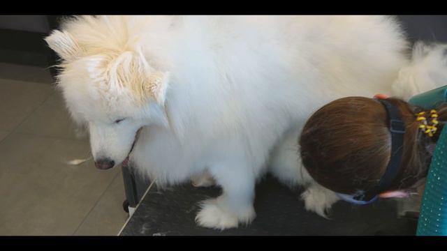 Владелец салона BARBERDOG Москва Медведково об открытии собственного бизнеса по франшизе