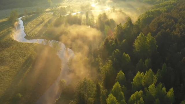 Где сложно - там ложно. Где просто - там рост смотреть онлайн