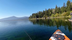 Fishing For That One Big Fish