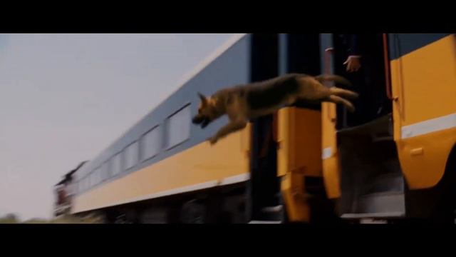 beverly hills chihuahua (2008) - delgado and chloe jump off the train смотреть онлайн