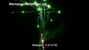 FT 5000 Фаворит (1.2"х110 залпов). www.isalutov.ru тел.: 8908 992-43-53 / 89146649499