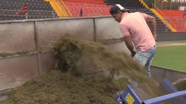 La cancha híbrida del Morera Soto vive un proceso de regeneración смотреть онлайн