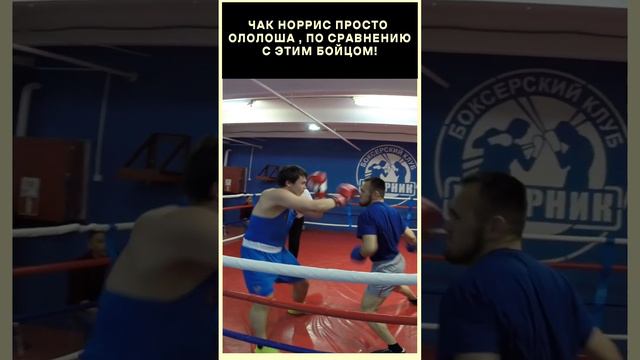 Матерый волк вышел на охоту! Спрятаться не получиться! Боксер понял , что обречен...
