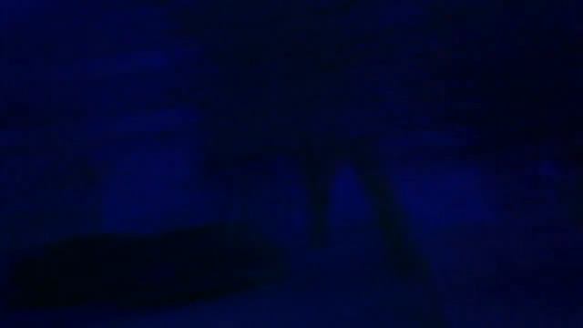 Kallaste смотреть онлайн