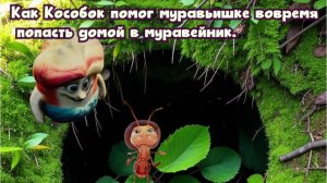 Как Кособок помог муравьишке вовремя попасть домой в муравейник. Премьера истории!!!