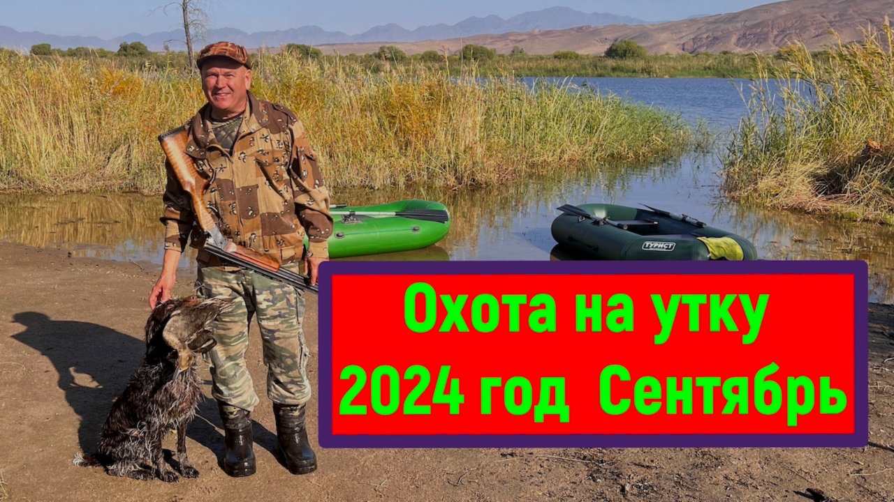 Охота на утку 2024 год , сентябрь месяц  Алматинчкая область .
