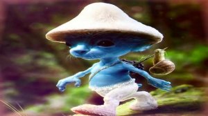 Один час Шайлушая