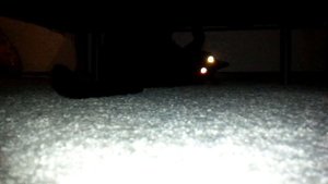 Кот (очень страшное кино)