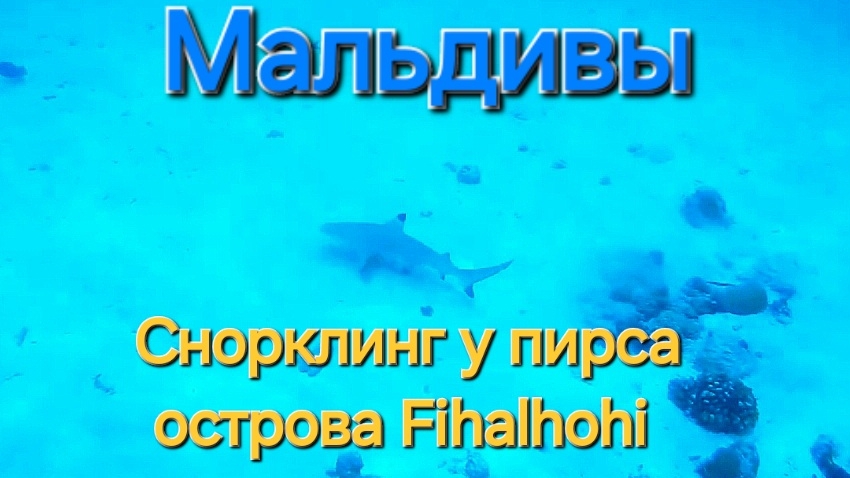 Мальдивы в ноябре. 17 серия. Снорклинг на Fihalhohi. Съёмка у пирса. Акулы.