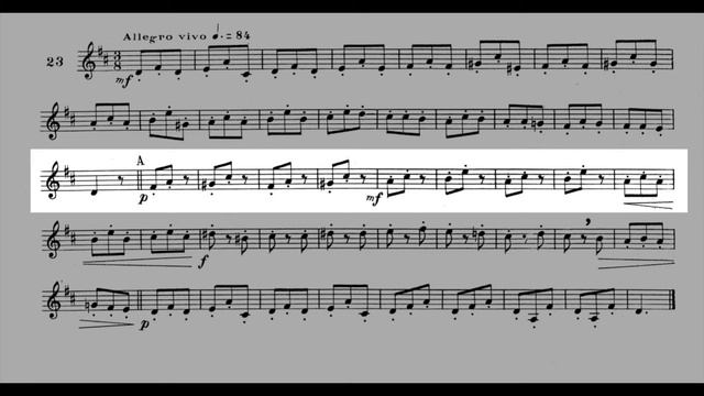 Maxime-Alphonse I nº 23 Allegro vivo. Horn solo смотреть онлайн