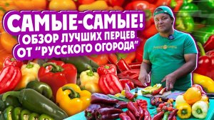 САМЫЕ-САМЫЕ! обзор лучших перцев от “Русского огорода”