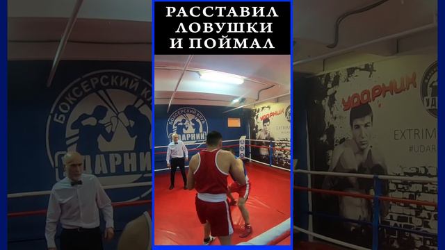 Выжидал, готовился, а потом ужалил! Боксер донес апперкот и отправил в нокдаун!