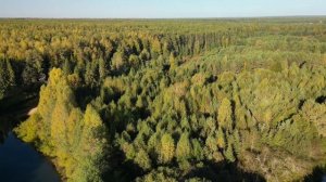 Где-то в Вологодской области