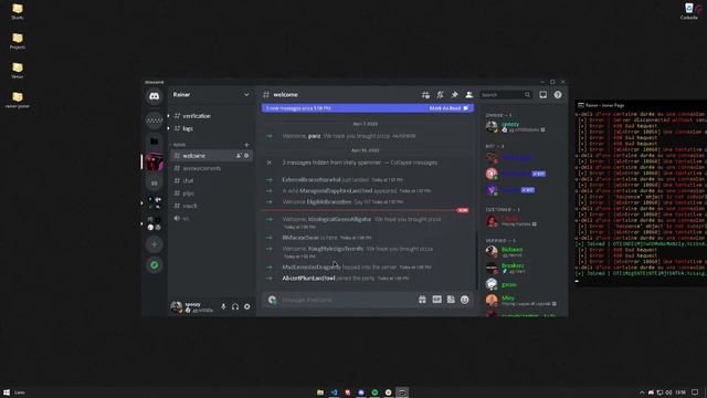 Rainer Raider - Official Release (Discord Raid Tool)