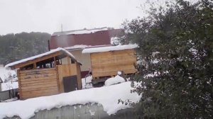 Снега!