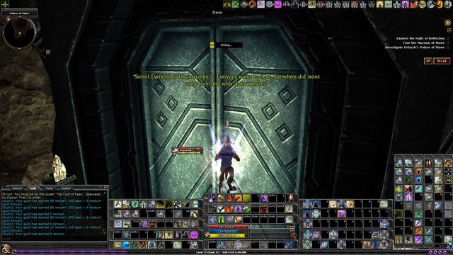 Dungeons & Dragons Online: R1 Solo - Palace of Stone (Raw)