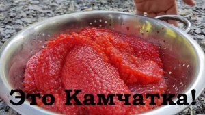 Сплав река Быстрая 5 часть Камчатка 2024