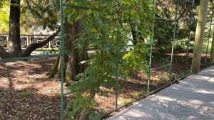 Сувенир из Волгограда