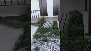 Поездка в Аркаим и Дивеевский монастырь 2024