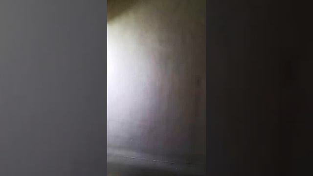 Зачем малярам проявочный свет #спб смотреть онлайн