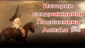 Истории сподвижников Пророка Мухаммада ﷺ