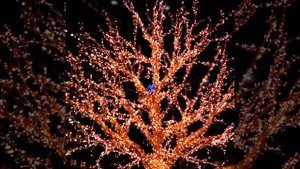 505 - Christmas melody (SH-32)