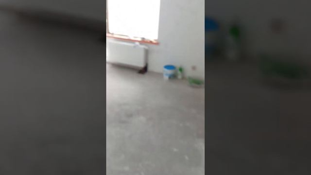 Пенопласт или пластик? Конечно пластиковые заглушки для защиты подрозетников, работайте с комфортом смотреть онлайн