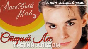 Андрей Разин - Ветер холодной зимы