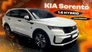 Мощный Kia Sorento