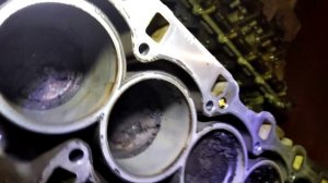 Контрактный двигатель из Санкт-Петербурга.