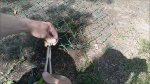 Как и чем скрутить концы сетки рабицы