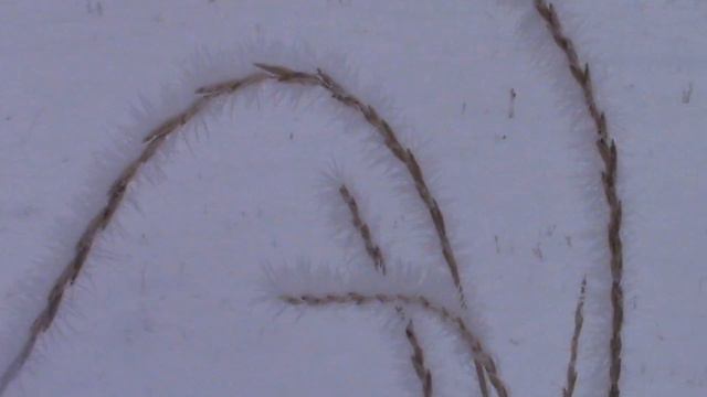 Peeling Syd Barrett - Episode 7 "Arnold Layne Part Deus" and "Intolerance" смотреть онлайн