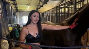 Конная прогулка... Что случилось и  чем все обернулось