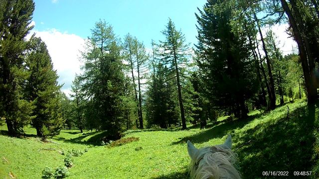 Алтай на конях 2022 - 12 смотреть онлайн