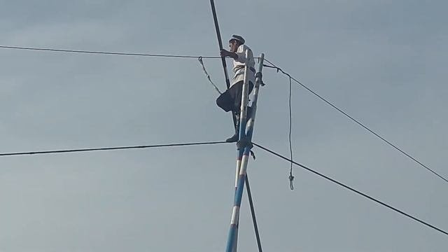 Сирк
