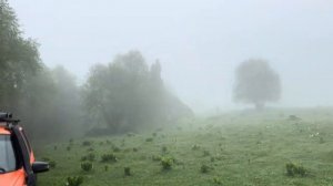 Путешествия по Карачаево-Черкесии. Орел на перевале Гумбаши