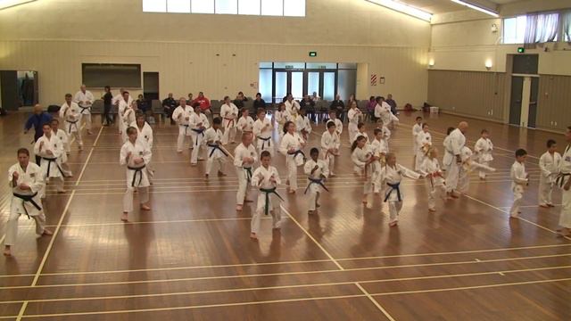 wrka soke kubota 2011 10 26 sess1 02d kihon mae geri mawashi geri yoko geri ushiro geri смотреть онлайн