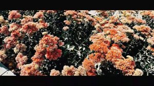 Волгоград | Красноармейский Район | Волго-Донской Канал