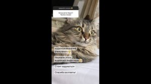 Александра Каштанова