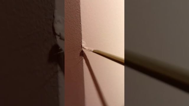 Мини баночки краски, зачем они? #спб смотреть онлайн