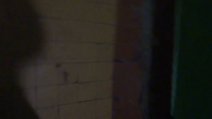 Электрические лифты V=0,71, 1 м-с, грузоподъемность 320, 400 кг (3108), музыкаль